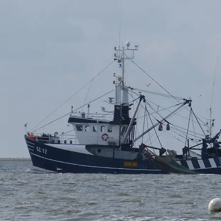 Daire Fewo-nordseestrand Büsum